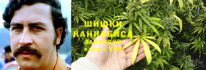 Бошки Шишки SATIVA & INDICA  Вязьма 